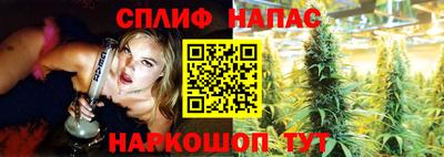 a pvp Кингисепп
