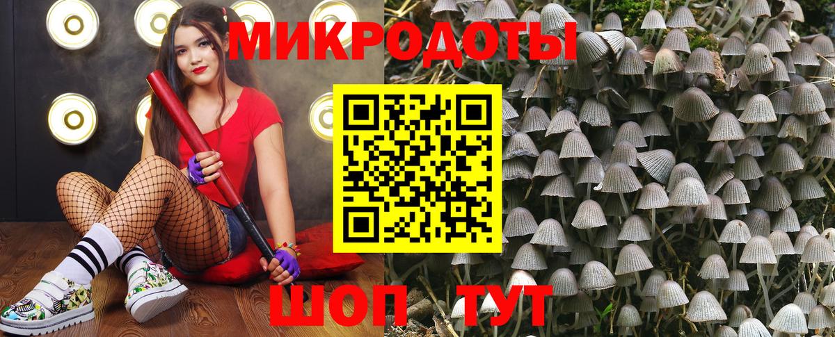 Галлюциногенные грибы мицелий  Вход с VPN  Краснокаменск 