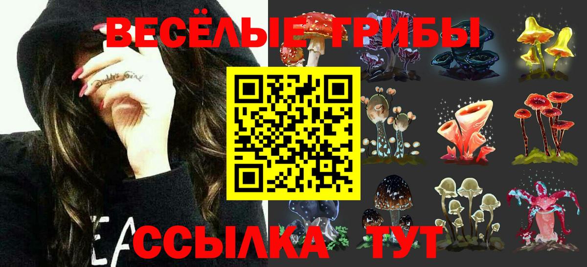 Псилоцибиновые грибы GOLDEN TEACHER Краснокаменск